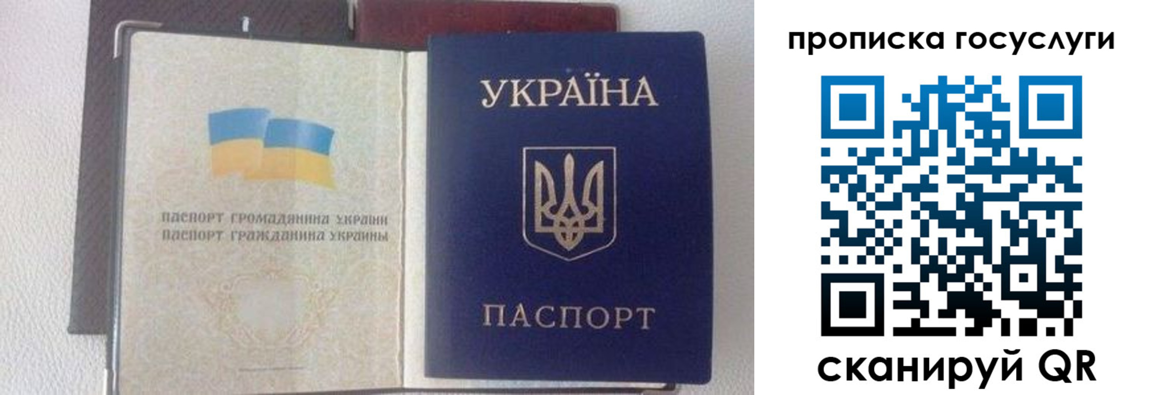 временная регистрация недорого в Краснознаменске